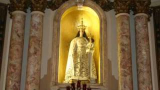 Italian Harlem and Our Lady of Mt Carmel shrine feast devotions and TLM [upl. by Atiuqel478]