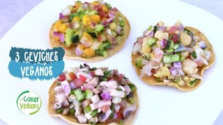 🍋 CEVICHES FÁCILES Y LIGEROS  Comer Vegano [upl. by Ahsikcin719]