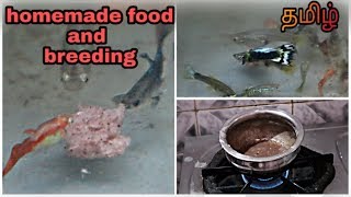 Homemade guppy food  guppy breeding and Guppy fish care in Tamil Abi Fish Room  தமிழ் [upl. by Ursulina]