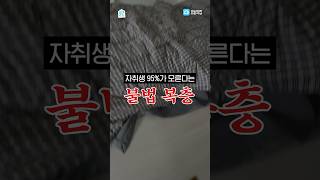 자취생 95가 모르는 복층의 비밀 shorts 알려주집 [upl. by Pastelki775]