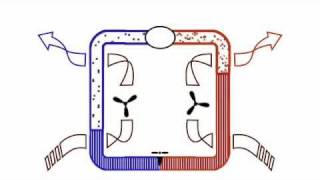 How Air Conditioning Works AnimationPart 1 of 3 [upl. by Ahsimik454]