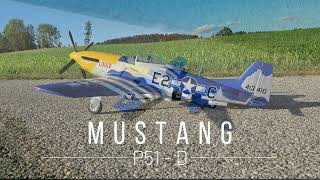 EFlite Mustang P51D 15m [upl. by Namor]