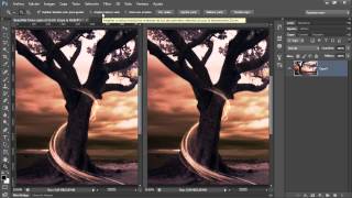 Curso Photoshop CS6 Capítulo 2 Usar Zoom en Dos Ventanas de una Misma Imagen 12 [upl. by Negrom133]