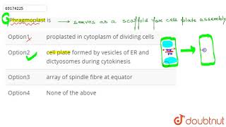 Phragmoplast is [upl. by Nifled]