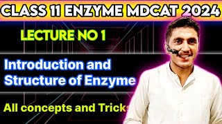 Enzyme  Lecture no 1  Introduction and Structure of Enzyme  All concepts  MDCAT2024 [upl. by Yrrem247]