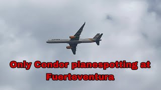 Only Condor planespotting at Fuerteventura [upl. by Oralia]