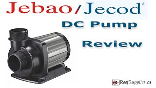 Jebao  Jecod DC Pump review [upl. by Aeslahc]