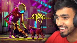 WELCOME TO THE ROBOT CITY  STRAY GAMEPLAY 2 [upl. by Levitus]