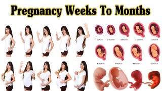 Pregnancy Weeks To Months  1 To 9 Weeks Fetal Developments [upl. by Ennovaj]