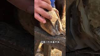 Wonderful Donkey Hoof Trimming Video shorts hoof [upl. by Wil117]