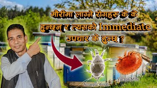 मौरीमा लाग्ने रोगहरु र त्यसको Immidiate उपचार  Varroa Mite Acraepis Woodi  Episode 1 [upl. by Tiras]