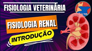 introdução à fisiologia renal  Filtração Glomerular  Aula 1 [upl. by Nagyam]