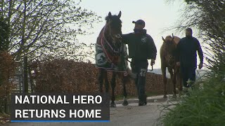 Heroes welcome in Co Waterford for Grand National hero Minella Times [upl. by Katt]