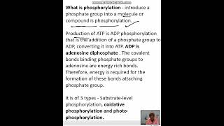 what is phosphorylation and types of phosphirylation [upl. by Frendel995]