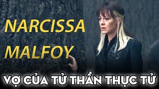 LuciusNarcissa Malfoy Lucissa  Love me like you do [upl. by Junna20]