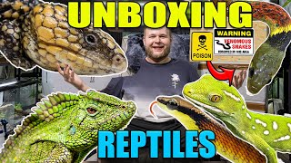 UNBOXING THE RAREST PET GECKO IN THE WORLD EPIC REPTILE IMPORT UNBOXING [upl. by Jabin]