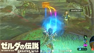 【水底に沈むお宝  イッソーのイベント】 攻略 ゼルダの伝説 ブレスオブザワイルド quotRiverbed Rewardquot Zelda  BREATH OF THE WILD [upl. by Jun]