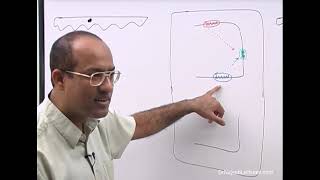 Neoplasia Genes amp Cancer part 1 [upl. by Carrew]