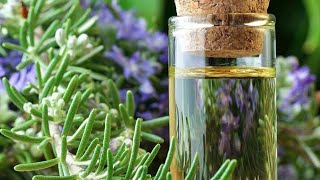 DIY Rosemary oil at home for hair and skin [upl. by Aihsoem55]