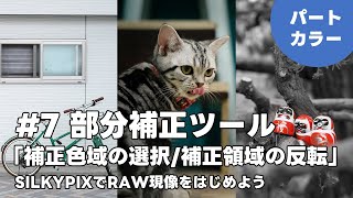 SILKYPIXでRAW現像をはじめよう 7 部分補正ツール 「補正色域の選択補正領域の反転」 [upl. by Reese]