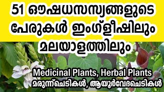 51 Medicinal plants names in English and Malayalam  ഔഷധ സസ്യങ്ങൾ herbs oushadha chedikal 🌿🌿 [upl. by Aneez258]