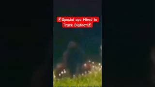 Bigfoot Filmed and Tracked By Special Ops Team [upl. by Kinsler]