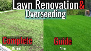 Fall Renovation amp Overseeding Simple Step by Step Guide 2023 [upl. by Nabetse783]