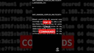 12 MustKnow Linux Networking Commandslinuxcommands linux cybersecurity [upl. by Abad]