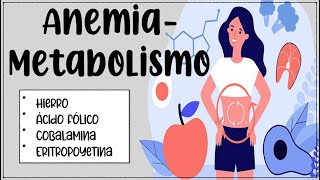 Anemia 🩸 Metabolismo del hierro folato y cobalamina 🍓🍊🧀🥬🫐🍆 [upl. by Aibat254]