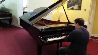 Bosendorfer 225 [upl. by Cristin]