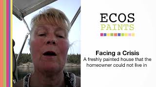 ECOS Air Pure Paint helps Diane at home after crisis [upl. by Archambault]