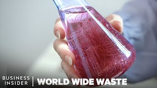 How Avocado Waste Is Turned Into Plastic  World Wide Waste [upl. by Acemat]