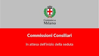 PARI OPPORTUNITÀ  SICUREZZA del 15112024 [upl. by Eimilb]