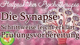 Heilpraktiker Psychotherapie SYNAPSEN Nervensystem  wo Psychopharmaka wirken  für die Prüfung [upl. by Arda]