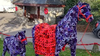 Remembrance Day display at Crantock village Cornwall  dji action 4 [upl. by Coletta985]