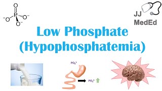 Low Phosphate Hypophosphatemia Causes Symptoms Treatment  amp Role of Phosphate Dietary Sources [upl. by Finnie]