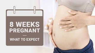 8 Week Pregnant  What to Expect [upl. by Fonda]