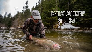 FLY FISHING FOR WILD STEELHEAD IN BRITISH COLUMBIA  A Trip of a Lifetime Film [upl. by Erlene]