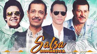 GRANDES EXITOS SALSA ROMANTICA 2020  Willie Colón Tito Rojas Gilberto Santa Rosa [upl. by Nnyleve483]