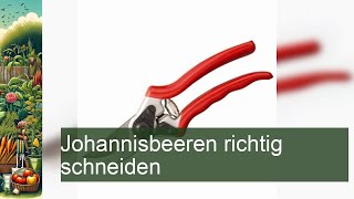 Johannisbeeren richtig schneiden [upl. by Luhar]