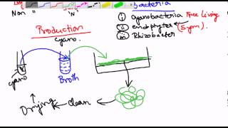 Biofertilizers [upl. by Nolahs]