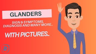 Glanders disease  Equine Farcy  Symptoms diagnosis amp many more  DH Vet Animations [upl. by Yebloc]