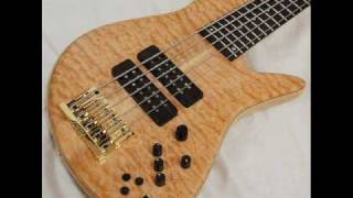 victor wooten  Bass Tribute Reprise [upl. by Close]