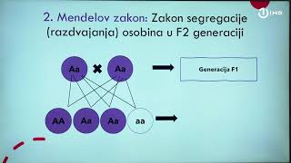 Domaća zadaća za 9 razred Biologija  Mendelovi zakoni [upl. by Demahom548]