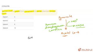 Number of ATP produced from one pyruvic acid during conversion to acetyl CoA is [upl. by Collin]