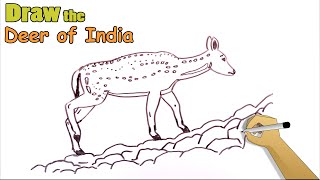 How to draw the Barasingha deer of India [upl. by Havelock]