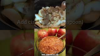 Homemade Cinnamon Applesauce 🍎 4Ingredients amp No Sugar Added [upl. by Luamaj]