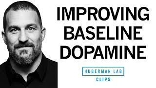 Improve Your Baseline Dopamine for Motivation amp Drive  Dr Andrew Huberman [upl. by Nehpets]