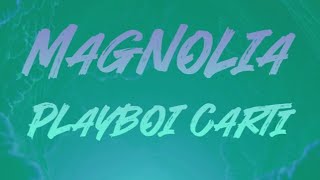 Playboi Carti  Magnolia [upl. by Yerffe754]