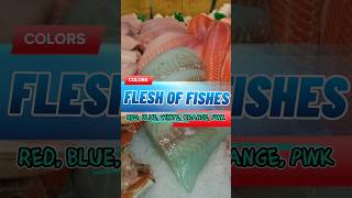 Types of fish WHAT DOES THE COLOR OF FISH FLESH TELL shorts shortsfeedhort fish seafood flesh [upl. by Lorollas]